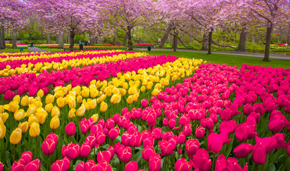Keukemhof Romantic Blooming Gardens Landscape Holland