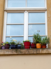 Fototapeta na wymiar window box garden modern apartment living 