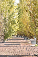 Parque en Buenos Aires