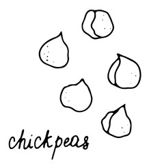 Hand drawn isolated food icon. Black outline illustration of vegetable. Chikpea icon.