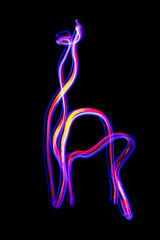 light painting girafe lama ombres lumière noir peinture abstrait couleur noir