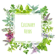 Square banner with watercolor kitchen herbs and plants