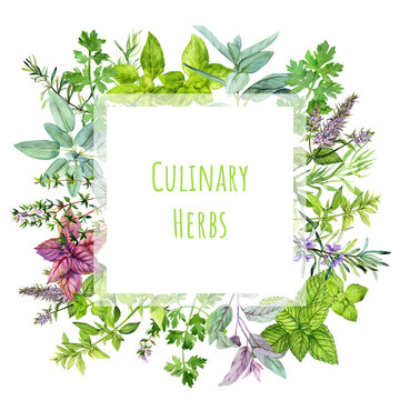 Square Banner With Watercolor Kitchen Herbs And Plants