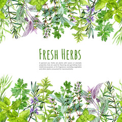 Seamless borders with watercolor kitchen herbs and plants