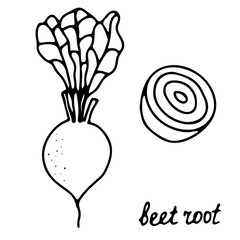 Hand drawn isolated food icon. Black outline illustration of vegetable. Beetroot icon. 