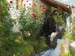 romantische alte Mühle mit blühenden roten Rosen am Bach