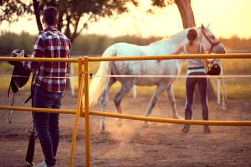 Young woman training a horse. Training  on countryside, sunset golden hour. Freedom nature concept.