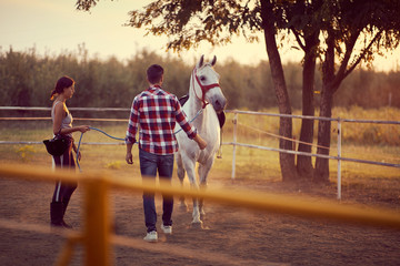 White horse with two people . Training  on countryside, sunset golden hour. Freedom nature concept.