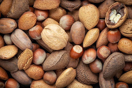 Selection of different types of nuts - walnuts, pecan, almonds, hazelnuts and Brazil nuts. Background for a banner