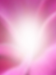 pink white light 
