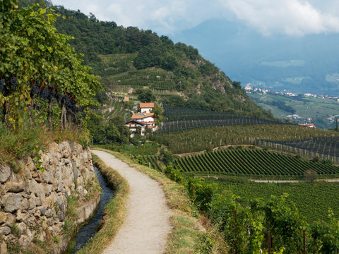 Waalweg in H&ouml;henlage mit sch&ouml;ner Aussicht auf die Weinberge und Obstplantagen im Vinschgau, Italien