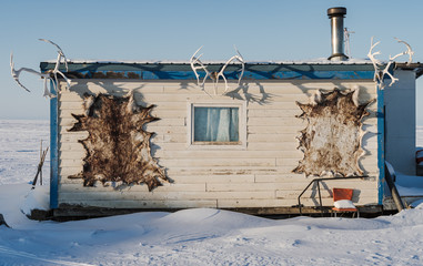 Deer skull and antlers on building in Tuktoyaktuk, Canada.