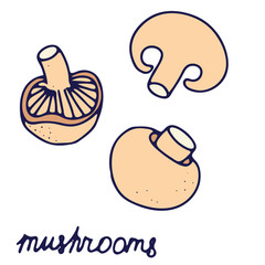 Hand drawn isolated food icon. Color fill illustration of mushrooms. Mushroom icon.