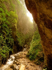waterfall in the forest