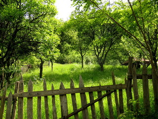 wooden fence in the park