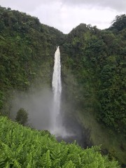 Fototapeta premium Hawaii Hilo Akaka Kahuna Falls 3