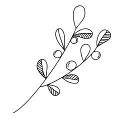 Isolated hand drawn vector lingonberry  branch icon.  Line sketch element. 