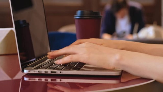 Young girl typing on laptop and drink coffee in a cafe