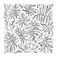 Tropical hand drawn vector sketch pattern with leaves. Exotic stylized plant drawing. Black line isolated on white. Engraving. Botanical print design.