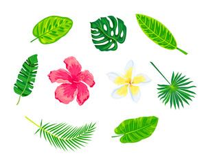 Obraz premium Jungle leaves and tropical flowers vector set. Design elements isolated on white background.