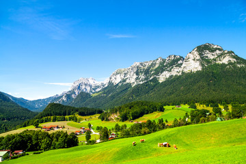 Fototapeta na wymiar Alpen im Berchtesgadener Land, Deutschland 