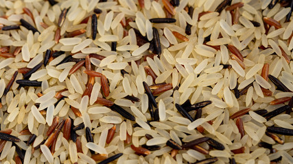 Black, brown and white rice background. Macro photo. 