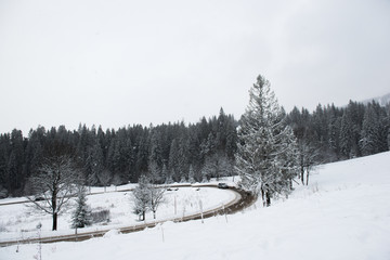 White snow winter nature  landscape