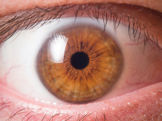 Human eye close up detail