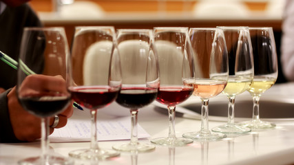 Cata de vinos