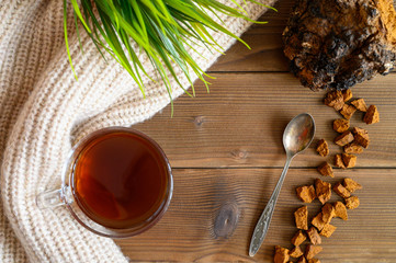 Obraz na płótnie Canvas chaga tea mushroom from birch tree using for healing tea or coffee in folk medicine