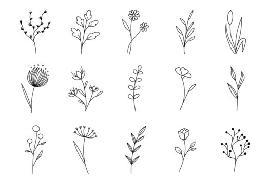 Hand drawn flower set. Vector ink floral doodles, sketch leaves decoration. Modern outline illustration on isolated background for tatoos, t-shirts and textile