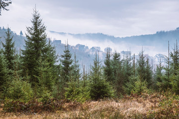 Carpathian Mountains landscape