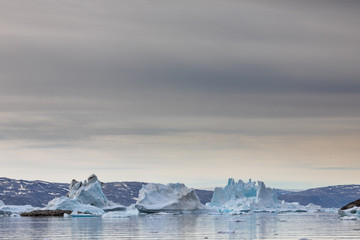 Die Wildnis Grönlands