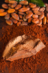 Cocoa beans, chocolate block and cocoa powder close up