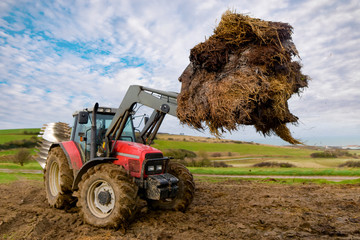 tractor and its telescopic fork taking the manure - obrazy, fototapety, plakaty