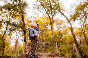Cute child watching nature on hump in forest