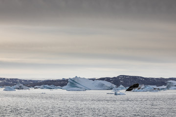 Obraz premium Die Wildnis von Grönland