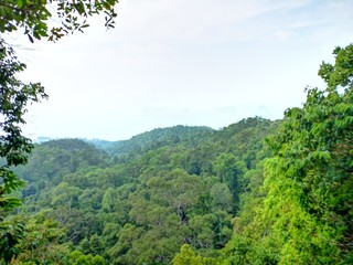 Fototapeta na wymiar Panorama der Region Krabi von oben
