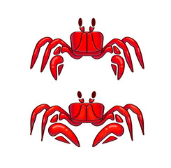 Crabs illustrated, isolated on white background