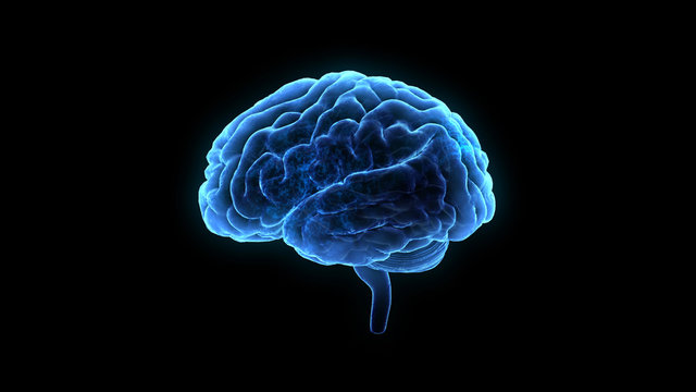 Brain head human mental idea mind 3D illustration background