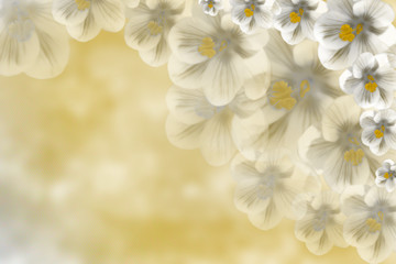 Fototapeta na wymiar Delicate spring flowers on a light blurred background, suitable for postcards and greetings