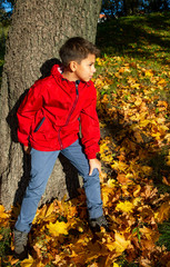 A boy in a bright red jacket in the autumn forest on the bright sunny day