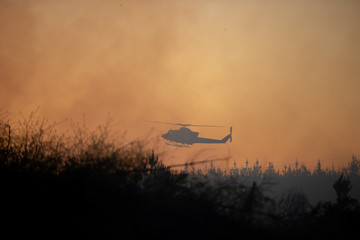 Fototapeta na wymiar Helicoptero asiste en incendio forestal