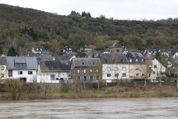 Mosel zwischen Niederfell und Kobern-Gondorf