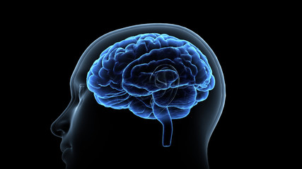 Brain head human mental idea mind 3D illustration background