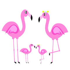 illustration of pink flamingo