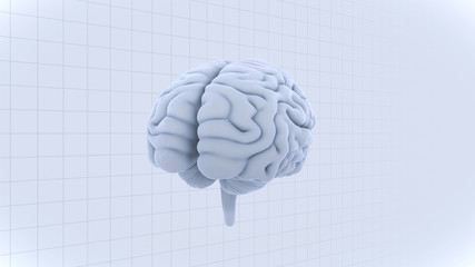 Brain head human mental idea mind 3D illustration background