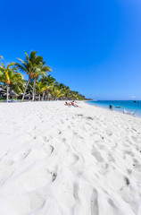tropical beach and sea, The Morne, Mauritius 