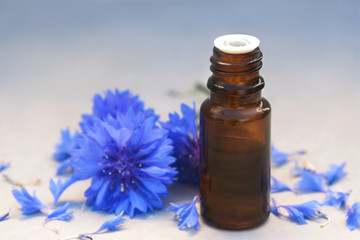 Essential oil bottles on medicinal cornflowers (Centaurea cyanus/bachelor's button) flowers and herbs background, selective focus, toned