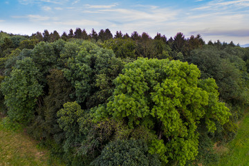 Fototapeta na wymiar aerial drone footage over a forest